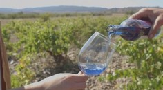 Špaldovo-tvarohové sušienky