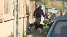 Susedia sú v koncoch. Desiatky psov, ktoré chová dôchodca, ohrozujú okolie