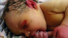 Príšerné. V lese našli trojdňové dievčatko, objedali ho mravce