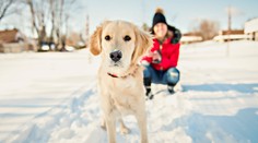 Mrazy vedia potrápiť aj domácich miláčikov. Veterinár radí, ako sa o nich starať