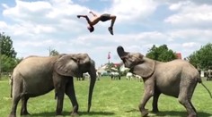 Virálne videá roka 2018: Pozrite si to najzábavnejšie, čo ponúkli sociálne siete