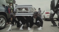 Aj tento rok bol bohatý na kuriozity, tieto nás zaujali najviac