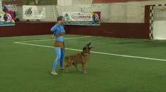 Zlaté talenty so Zlaticou: Slovensko patrí v dogdancingu k svetovej špičke