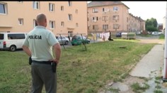 Slováci mali predať svoju dcéru, kupec však nezaplatil. Vznikla poriadna mela