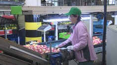 Viete, aký je rozdiel medzi odmenami a 13. a 14. platom?