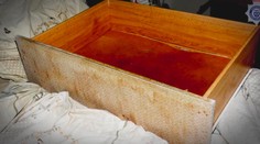 Nepoznala denné svetlo ani čerstvý vzduch. Britka schovávala dcéru od narodenia v zásuvke