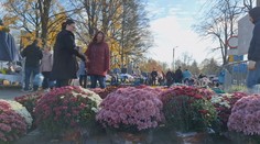 Poľsko vs. Slovensko: Porovnanie cien pred Dušičkami niektorých prekvapí