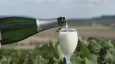 Rusi si privlastnili šampanské. Francúzskym výrobcom obľúbeného nápoja padla sánka