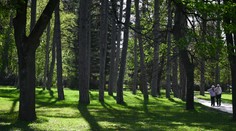 Jasnejšia obloha a vyššie teploty. V najbližších dňoch sa vráti letné počasie