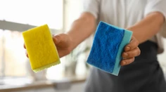 Vedci upozorňujú na nenápadnú hrozbu. Týka sa špongie na riad, ktorú používame denne