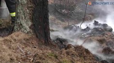 V Malých Karpatoch horí les