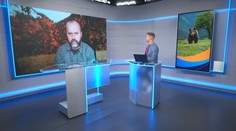 Pavol Žídek: Ďalší útok medveďa