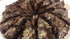 Poctivý slivkovo čokoládový koláč