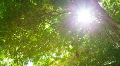 Na konci týždňa sa má otepliť. Konečne nás čakajú príjemné jarné teploty