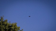 Ukrajina požiadala NATO o zostreľovanie dronov nad jej územím