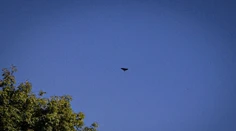 Ukrajina požiadala NATO o zostreľovanie dronov nad jej územím