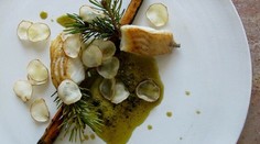 Sprudka pečený pór s karamelizovanou smotanou a kôprový olejom