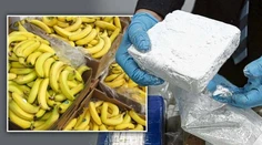 V supermerkete našli v škatuliach od banánov 140 kíl kokaínu