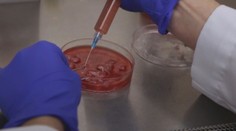 Chemoterapia už nebude potrebná. Je tu účinný liek na rakovinu!