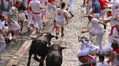 FOTO+VIDEO: V Pamplone sa konal tradičný beh s býkmi. Od roku 1924 si vyžiadal už 16 životov