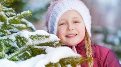 Vianoce môžu byť tento rok biele na horách aj na východe Slovenska