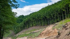 Tento rok má pribudnúť len jediný úsek rýchlostnej cesty. Aj to je omeškaná stavba