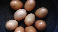 Takto zistíte, či je vajíčko dobré bez toho, aby ste ho museli rozbiť