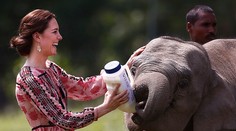 Aj keď Kate nemá v Indii deti, bola chvíľu mamou