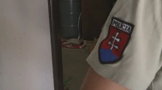 Otrasný prípad z ranča v Nemeckej: Vzácneho klokana niekto zastrelil a odzeral mu hlavu