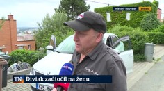 Diviak zaútočil na ženu