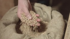 Mrkvová torta bez lepku s vanilkovým mascarpone a malinami