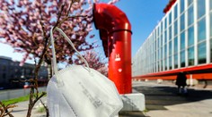 Oddnes bez respirátorov: Boli sme sa pozrieť, ako v prvý deň uvoľnenia zareagovali Slováci