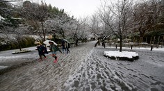 V Tokiu padal novembrový sneh prvýkrát za 54 rokov