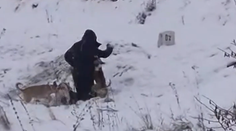 Psy hrýzli a trhali zo všetkých strán. Kynológ pomenoval moment, kedy napadnutý muž prišiel o možnosť na útek