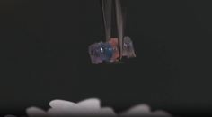 VIDEO: Malí, ale šikovní. Vedci vyrobili roboty, ktoré sa dokážu pohybovať v ľudskom tele a podávať lieky