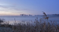 Dnes bude zamračený deň, teploty do 9 stupňov