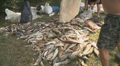 Naozaj to bola len nešťastná zhoda náhod? Začína sa vyšetrovanie ekologickej katastrofy na Hrone