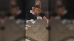 Opili a brutálne zbili 11-ročné dievča. Hlavná útočníčka v prípade, ktorý otriasol Slovenskom, ide pred súd