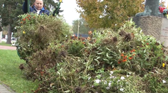 Koniec kvetinovej parády. Z ulíc miznú farebné záhony, ktoré skrášľovali verejné priestranstvá