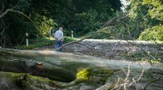 Nemecko zasiahla poriadna smršť. Búrky vyvracali stromy, hlásia aj zranených