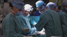 Prelomový pokrok. Vedci geneticky upravujú prasacie orgány tak, aby boli vhodnejšie pre ľudské telo