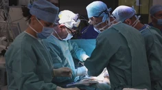 Prelomový pokrok. Vedci geneticky upravujú prasacie orgány tak, aby boli vhodnejšie pre ľudské telo