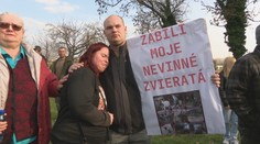 Zabíjanie v domácich chovoch bude pokračovať, potvrdil Takáč. Utrácať zvieratá chce aj napriek ochote ísť do karantény