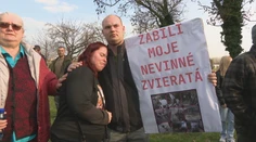 Zabíjanie v domácich chovoch bude pokračovať, potvrdil Takáč. Utrácať zvieratá chce aj napriek ochote ísť do karantény