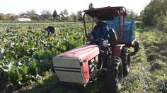 Z eurofondov mohli byť kombajny aj maštale. Pre pomalé čerpanie prepadli milióny