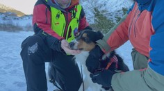 Ich čuch je silnejší než technika: Pozrite sa, ako prebieha výcvik psov na lavínové pátranie