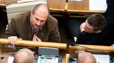 Strana, ktorá vo voľbách nečakane prepadla, naberá na sile. Čoskoro by mohla mať dvojciferné čísla