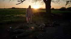 Na Ukrajine boli spáchané vojnové zločiny, vyhlásili vyšetrovatelia OSN