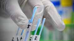 Vyrobíme tento rok účinnú vakcínu proti chrípke? Minulý rok sa to nepodarilo