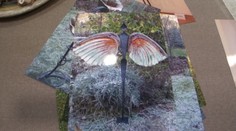 Šesť mesiacov boli zatvorení v dielni. Za jednu noc prišli o všetko